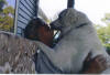 Emeer Kissing Doug