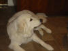 Hanna relaxing